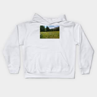 Glacier National Park Wild Flowers3 Kids Hoodie